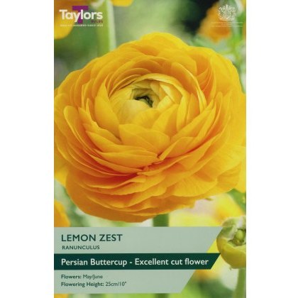 TAYLORS Ranunculus Lemon Zest