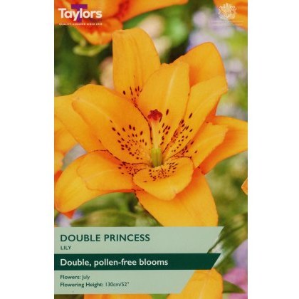 TAYLORS Lily Double Princess
