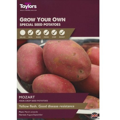 SEED POTATO - Mozart - Taster Pack SEED POTATO - Mozart - Taster Pack