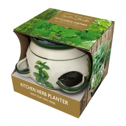 TAYLORS Kitchen Herb Pots