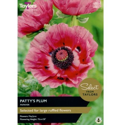 TAYLORS Papaver Pattys Plum - Special Edition