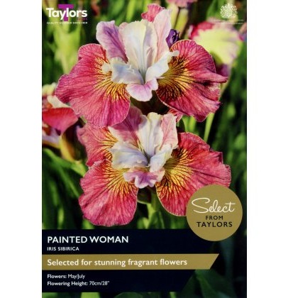 TAYLORS Iris Sib. Painted Woman - Special Edition