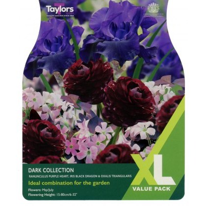 TAYLORS Dark Collection XL Value
