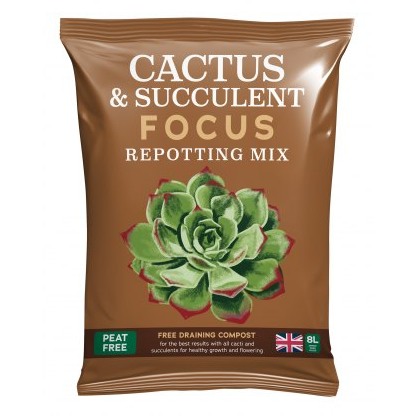Cactus & Succulent Focus Repotting Mix Peat Free 8L