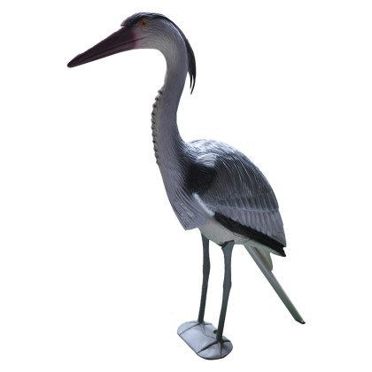 Bermuda Heron Bermuda Heron