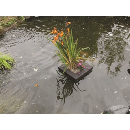 PONDXPERT Floating Planter Square 25cm