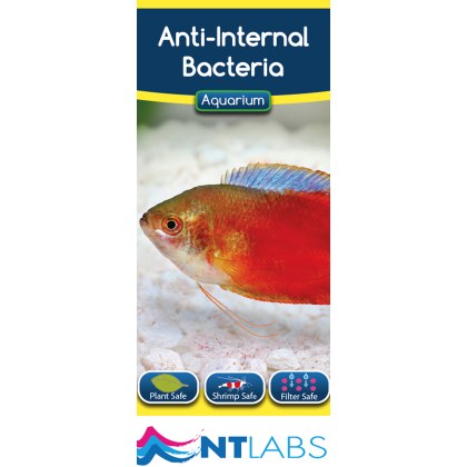 NT LABS Aquarium Anti-Internal Bacteria