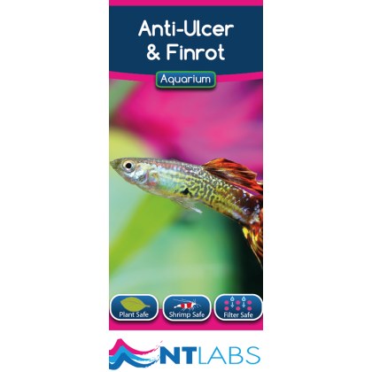 NT LABS Aquarium Anti-Ulcer & Finrot 100ml