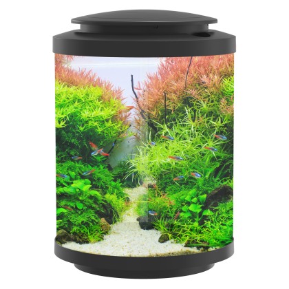 Betta Choice Acrylic Cylinder Tank 15L - Black