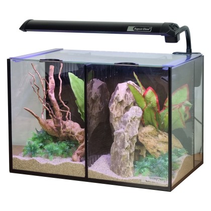 AQUA ONE Betta Duo Aquarium 20L 35x25x25cm