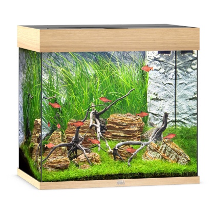 Juwel Lido 120 LED Aquarium - Light Wood