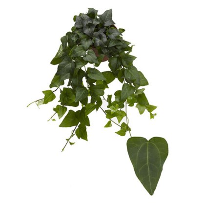 Hedera hel Mein Herz 13cm