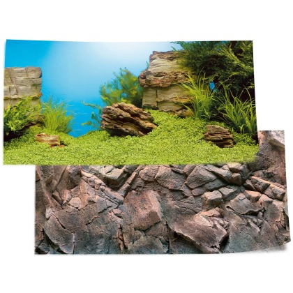 Juwel Poster 1 Plant/Reef Background - Large