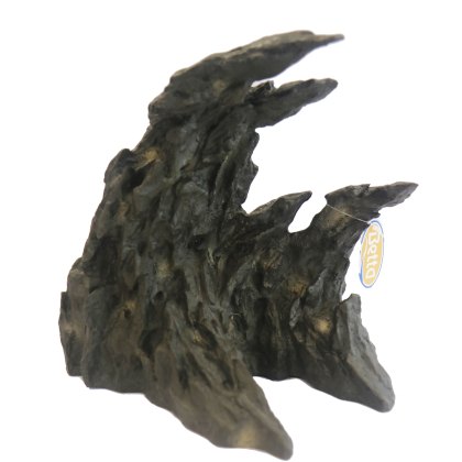 Betta Brown Wave Rock