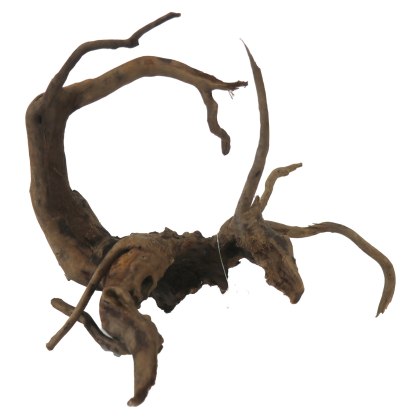 Dark Moorwood S 20-30cm Per Piece