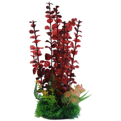 BETTA 9 Red Combi Plastic Plant
