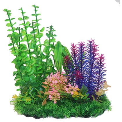 BETTA 13 Green & Purple Combi Plant