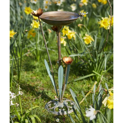 TOM CHAMBERS Waterlily Bird Bath