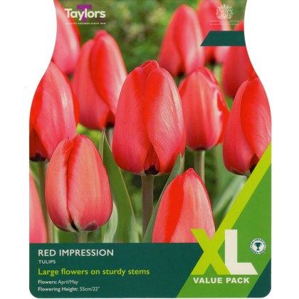 TAYLORS Tulip Red Impression - XL Range