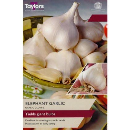 TAYLORS Garlic Elephant