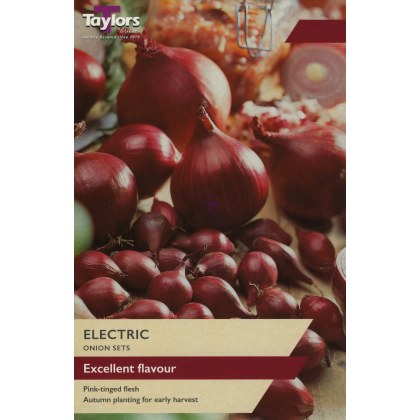 TAYLORS Onion Electric