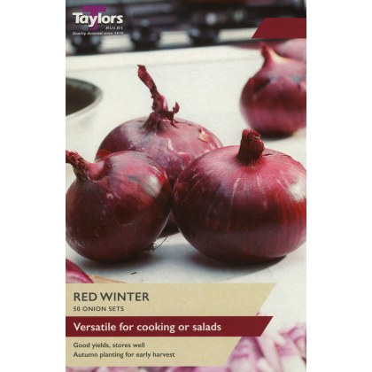 TAYLORS Onion Red Winter
