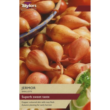 TAYLORS Shallot Jermor