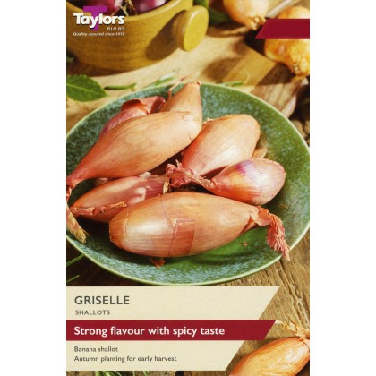 TAYLORS Shallot Griselle