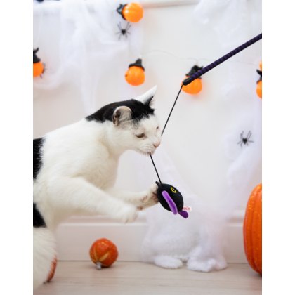 Buffy Bat Cat Teaser