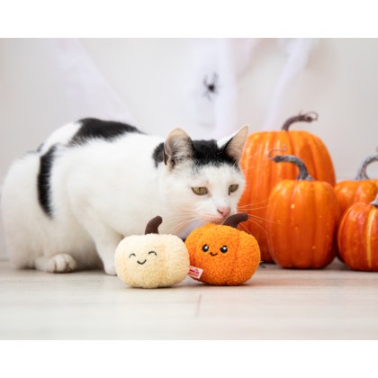 Pumpkin Pals