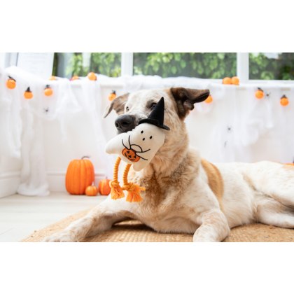 Gregory Ghost Dog Toy Gregory Ghost Dog Toy
