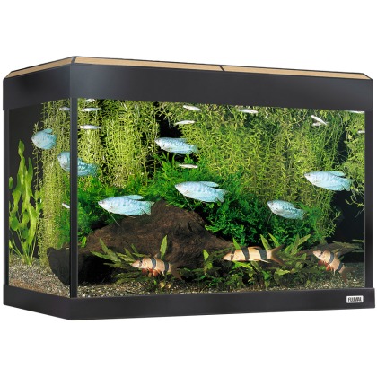 FLUVAL Roma 90 Oak BT/LED Aquarium FLUVAL Roma 90 Oak BT/LED Aquarium
