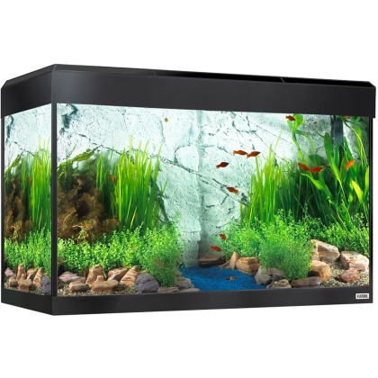 FLUVAL Roma 125 Gloss Black BT/LED Aquarium FLUVAL Roma 125 Gloss Black BT/LED Aquarium