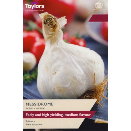 TAYLORS French Garlic Messidrome