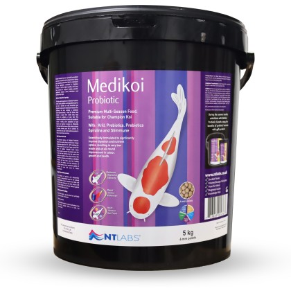 NT LABS MEDIKOI Probiotic Food NT LABS MEDIKOI Probiotic Food