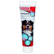 BEAPHAR Toothpaste 100g BEAPHAR Toothpaste 100g
