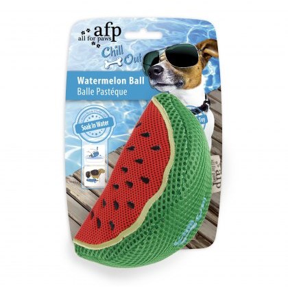 AFP Chill Out Watermelon Slice