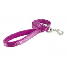 ANCOL Viva Padded Lead Purple 1mx19mm