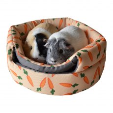 2 In 1 Carrot "Beehive" Bed 2 In 1 Carrot "Beehive" Bed