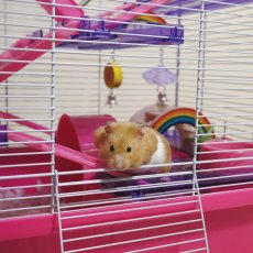 BOREDOM BREAKER Woodies Rainbow Mobile BOREDOM BREAKER Woodies Rainbow Mobile