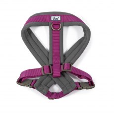ANCOL Viva Padded Harness Purple L 52-71cm