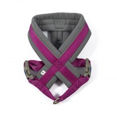ANCOL Viva Padded Harness Purple S 36-42cm