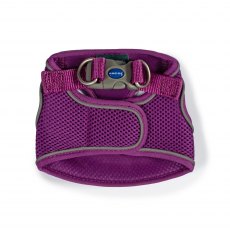 ANCOL Viva Step-in Harness Purple S 35-42cm