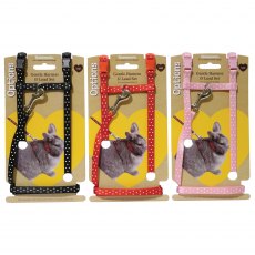 OPTIONS Polka Dot Harness & Lead   Large