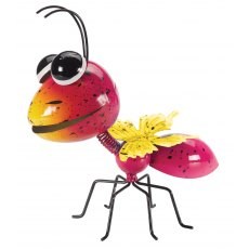 Jazee Ant