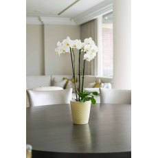 Orsa Orchid Pot Yellow H15cm D14cm