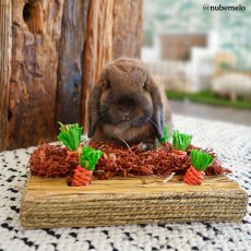 BOREDOM BREAKER Carrot Play Patch BOREDOM BREAKER Carrot Play Patch