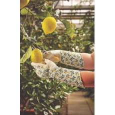 BRIERS Sicilian Lemon Garden Gauntlets Med / Size 8