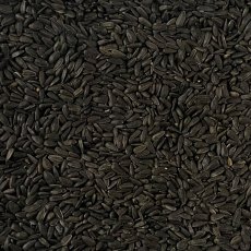 JOHNSTON & JEFF Black Sunflowerseed   2kg JOHNSTON & JEFF Black Sunflowerseed   2kg