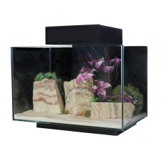 AQUA ONE Platform 21 Black, Incl Filter, LED Light And Base 40 x 25 x 25cmH
